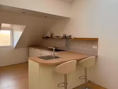 appartement 1ch rénové & lumineux
