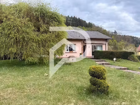 stephane plaza immobilier colmar-sud