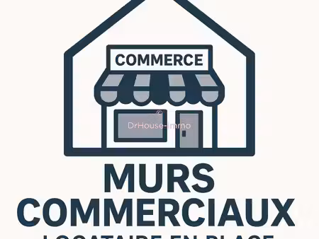 vente de murs commerciaux loues