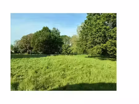 magnifique terrain de 4712m² à grez-doiceau