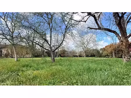 à vendre terrain à bâtir de 1000 m2 à villaudric - 31620