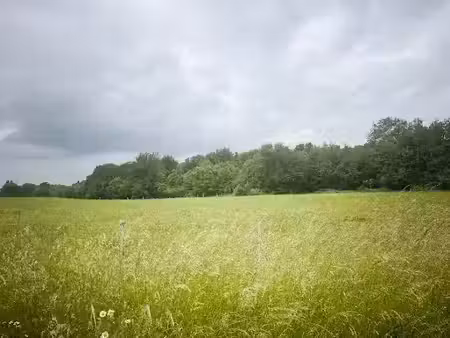 vente terrain 500 m² à cavignac (33620)  48 000 €
