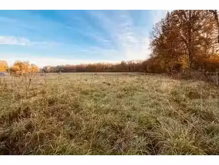 vente terrain 1646 m² à le meix-saint-epoing (51120)  35 000 €