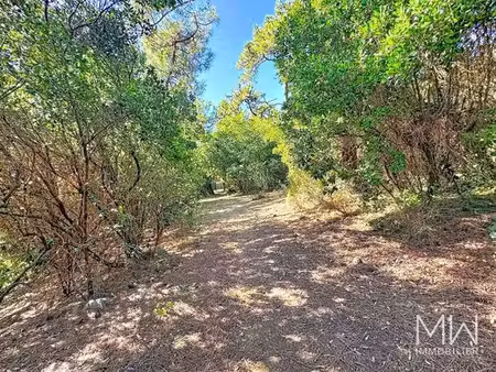 terrain de 1000 m2 en vente - cap ferret  nouvelle-aquitaine