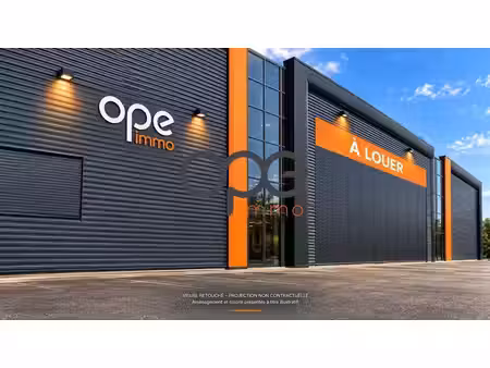 location entrepôt louvres 95380 3374m²