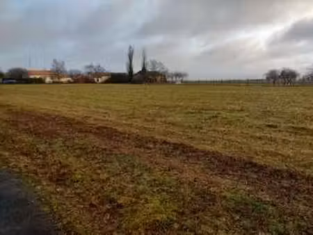 vente terrain à fors (79230) : à vendre / fors