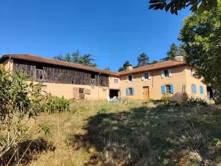 gasconne au calme avec vue pyrénées