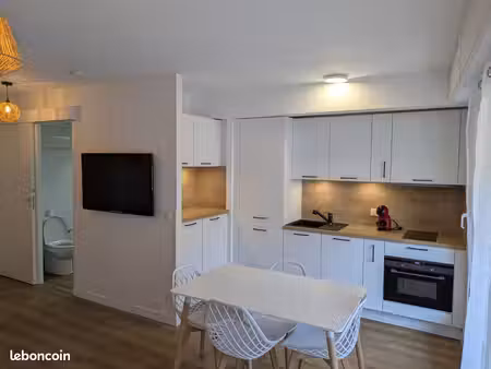 studio 28 m² rénové meublé – carnolès