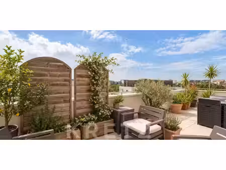 appartement avec terrasse montpellier (34)