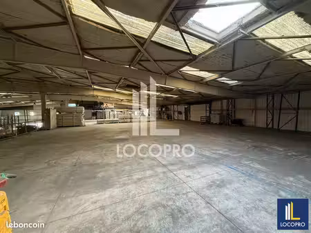 local d'activité 1 000 m²