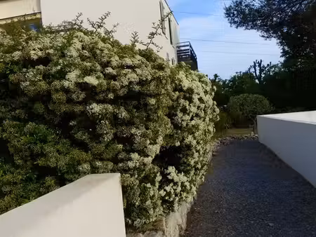3 pièces 66m² valbonne simone veil