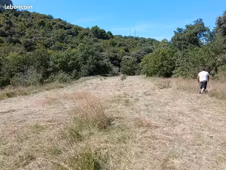 terrain agricole