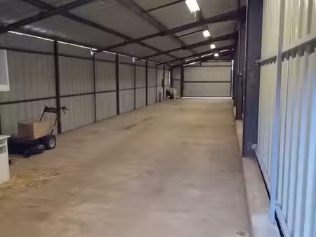 entrepôt à louer