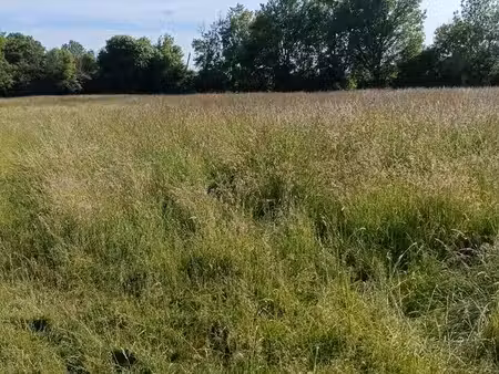 recherche terrain agricole