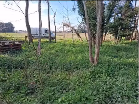 loue forêt