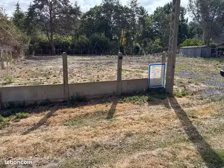 terrain constructible