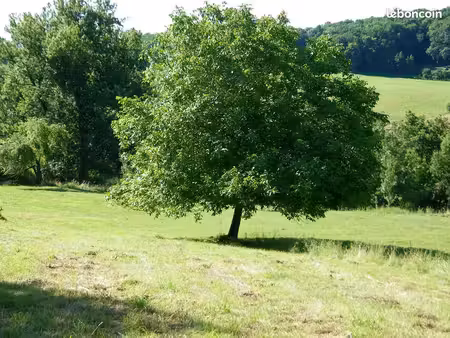 grand terrain à bâtir