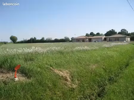 terrain viabilisé