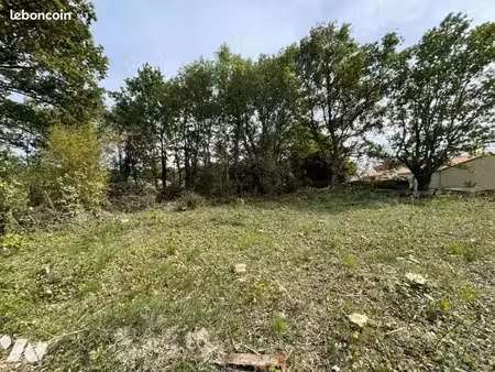 terrain 1269 m² geneston