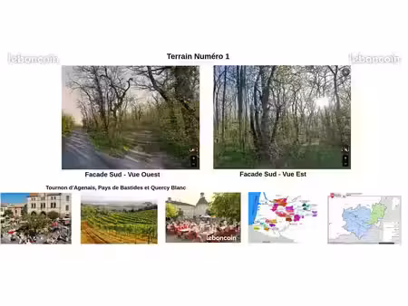 terrain boisé chênes 1 avec cu (agenais  quercy  cahors)