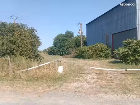 immobilier hangar métallique 290m2