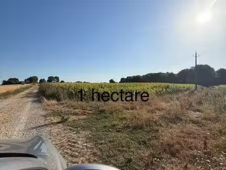 vends terrain agricole kergoal listrec en 56550 locoal mendon