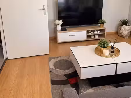 sous-location appartement 37 m² – 600 / mois – disponible mi-novembre