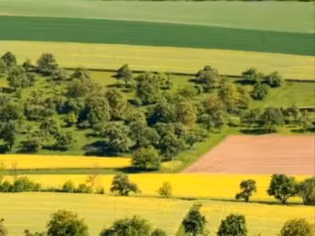 terre agricole libre