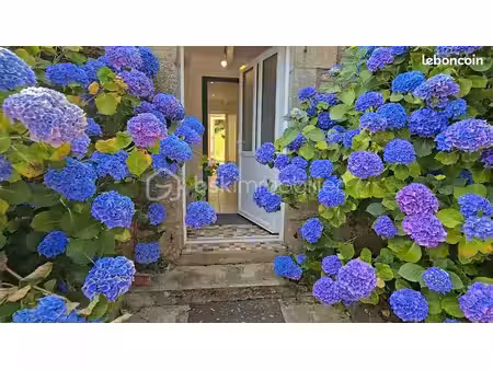 maison 6 pièces 150 m²