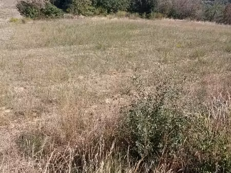 terrain agricole