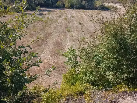 terrain agricole