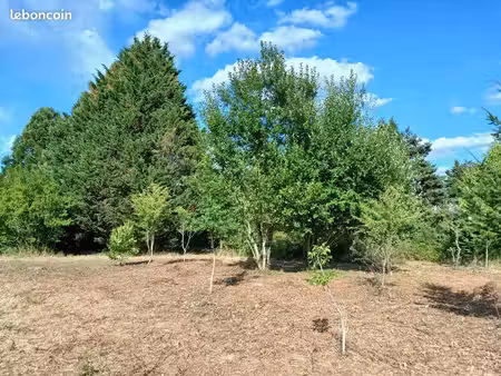 terrain arboré constructible de 3090 m2 à charbuy