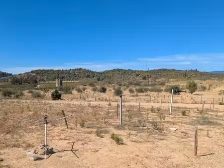 terrain constructible avec parcelle agricole attenante