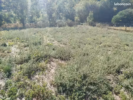 terrain viabilisé 1000 mètre carré très bel en placement