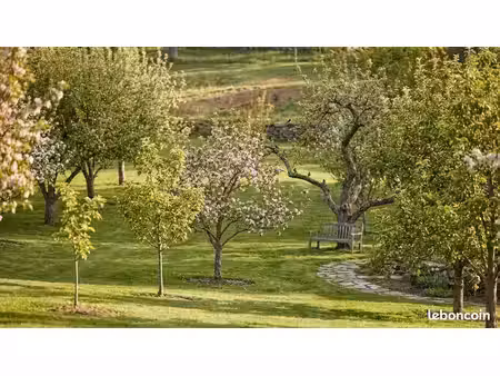 recherche verger familial pour activité professionnelle