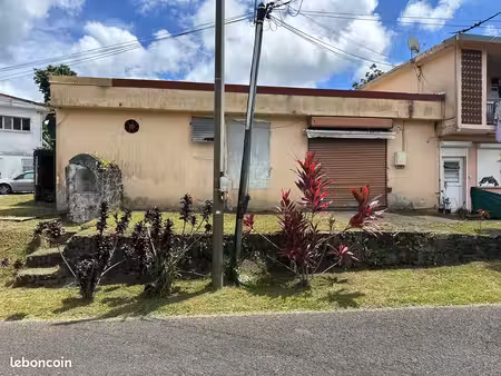 local professionnel flamboyant gros-morne