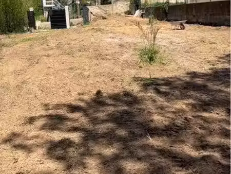 terrain / jardin