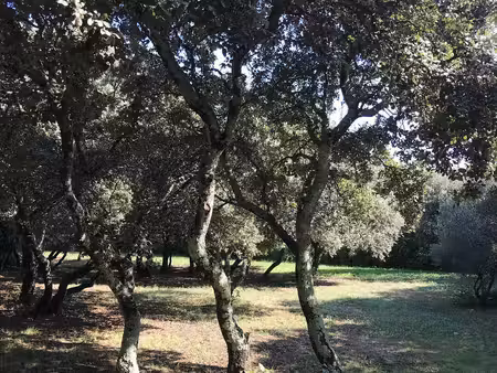 terrain constructible neuf à vendre