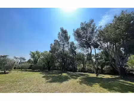 terrain constructible neuf à vendre