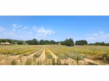 terrain constructible neuf à vendre
