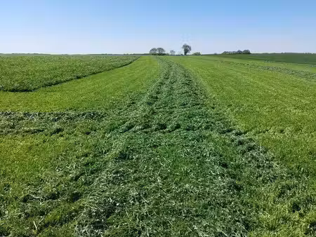 terrain constructible neuf à vendre
