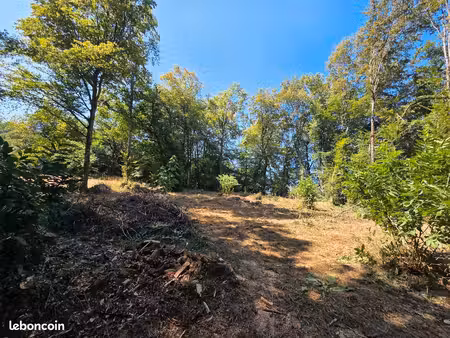 terrain agricole