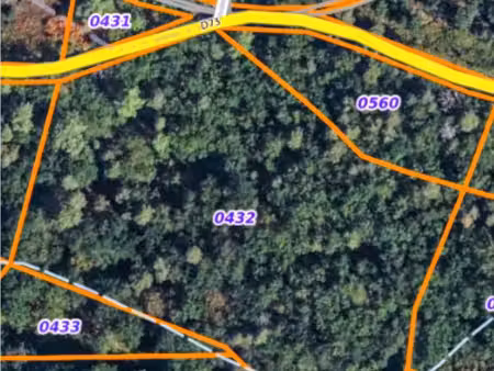 a vendre parcelle bois chêne presque 2 hectares