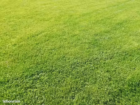 terrain 406 m² saint brandan