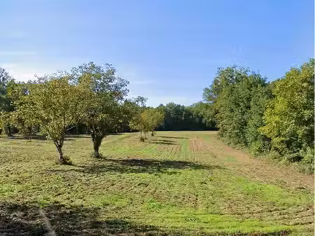 terrain constructible