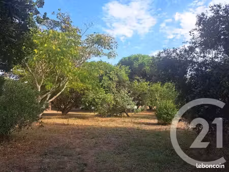 terrain 815 m² saint georges d oleron