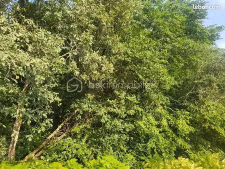 terrain agricole 2 160 m² queyssac
