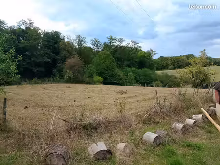 terrain animaux