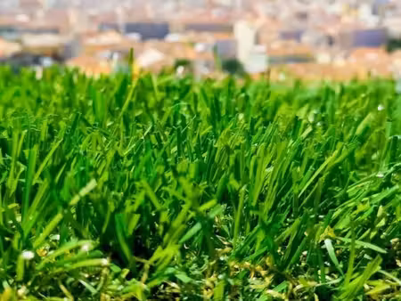 terrain 250 m² bry sur marne