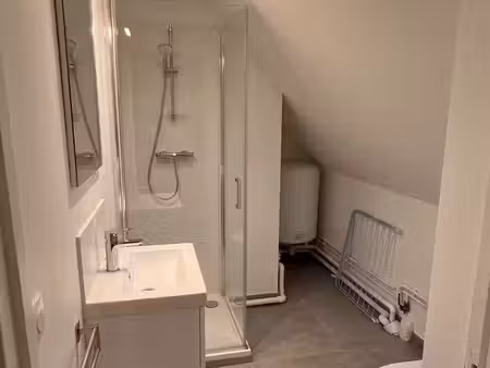 appartement 22 m² entièrement rénové : ivry-la-bataille